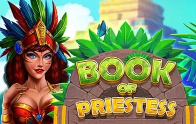 Book Of The Priestess, copertina del gioco